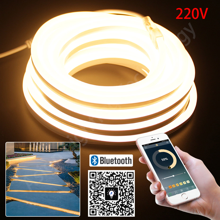 LED Neon Strip 220V 2835 120 L - Outdoor Power Strip Weatherproof 评论和价格